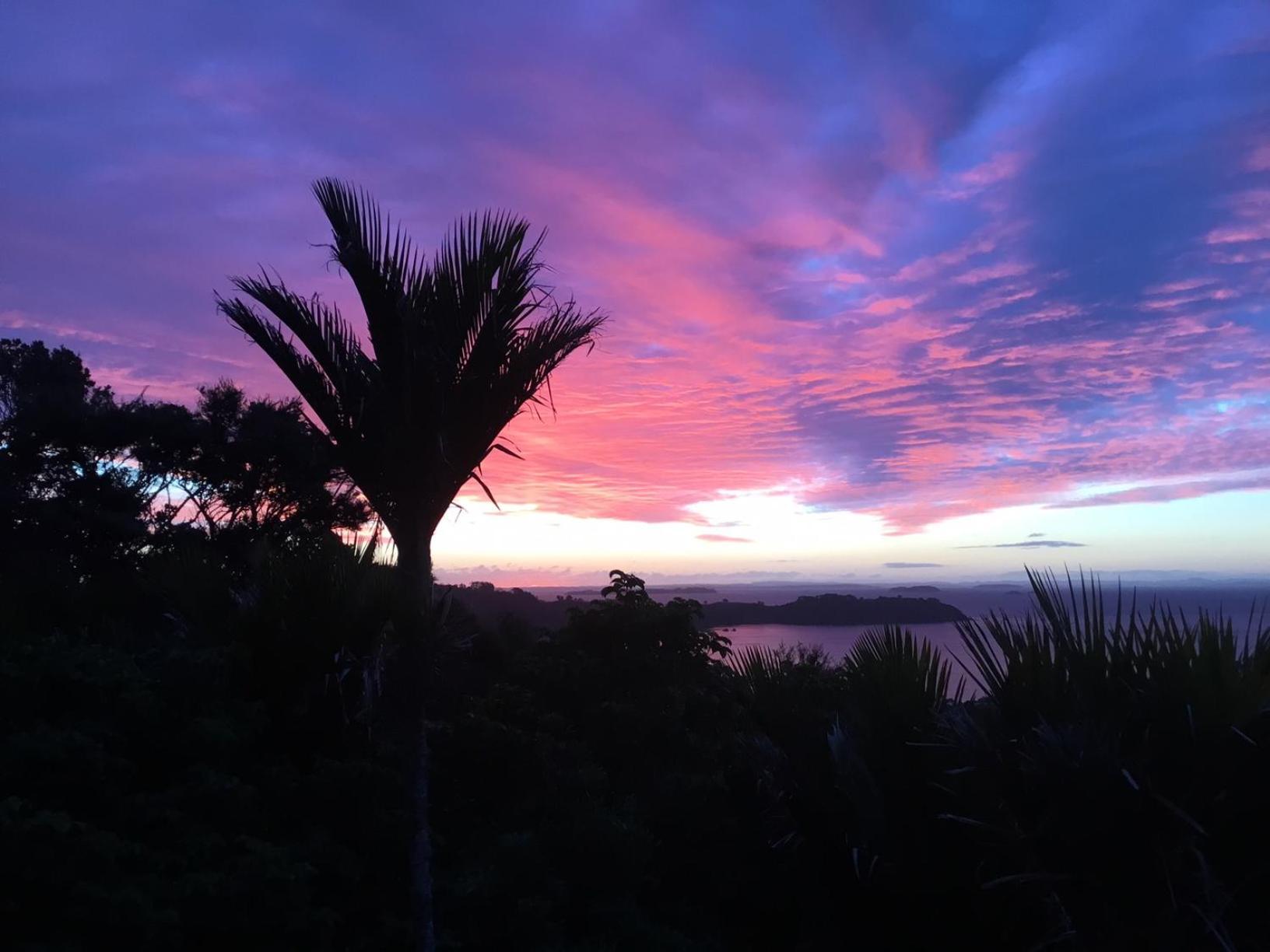 Nikau Apartments Waiheke Island Onetangi Экстерьер фото